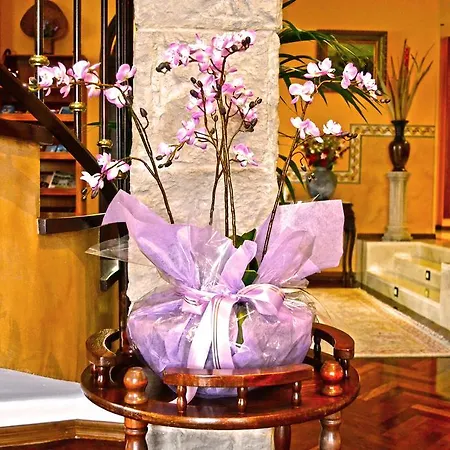 Hotel Boutique Villa Erina By Bossh Hotels - Adults Recommended 3* Manilva