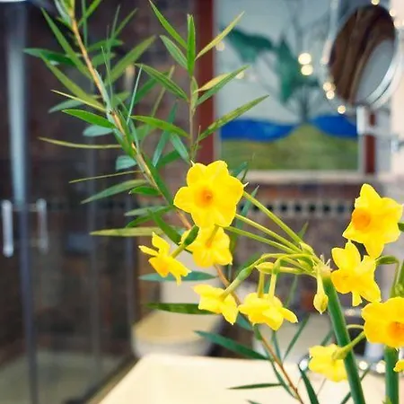 Hotel Boutique Villa Erina By Bossh Hotels - Adults Recommended 3* Manilva